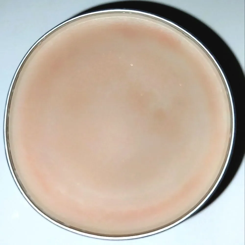 Hand crafted natural tea tree lip balm